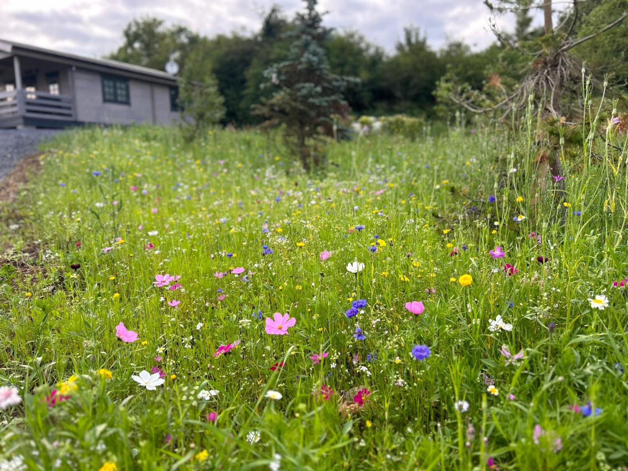 Little Rock Retreat Log Cabin With Hot Tub Castletown Gheoghegan Zewnętrze zdjęcie
